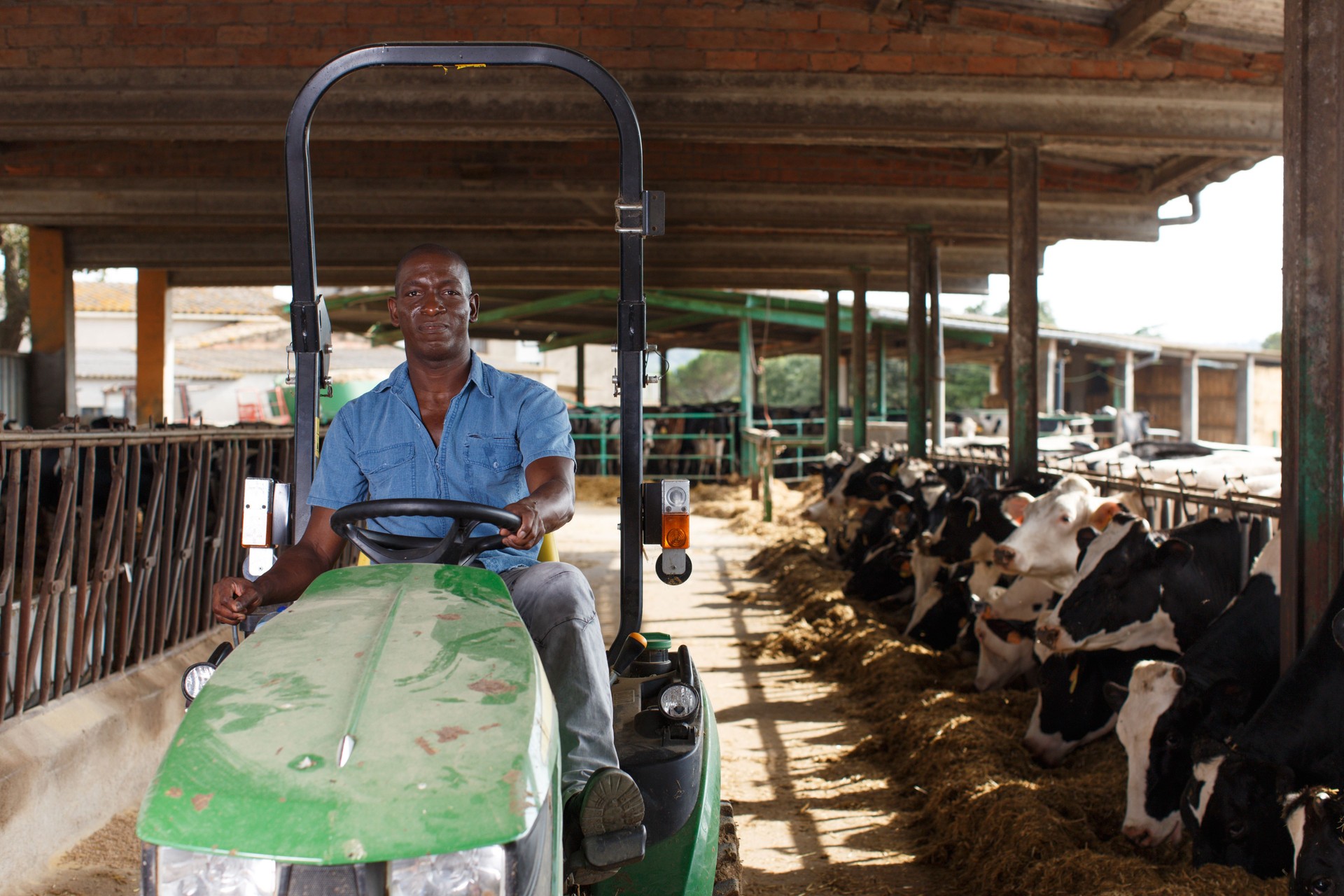 Dairy farm worker in tractor