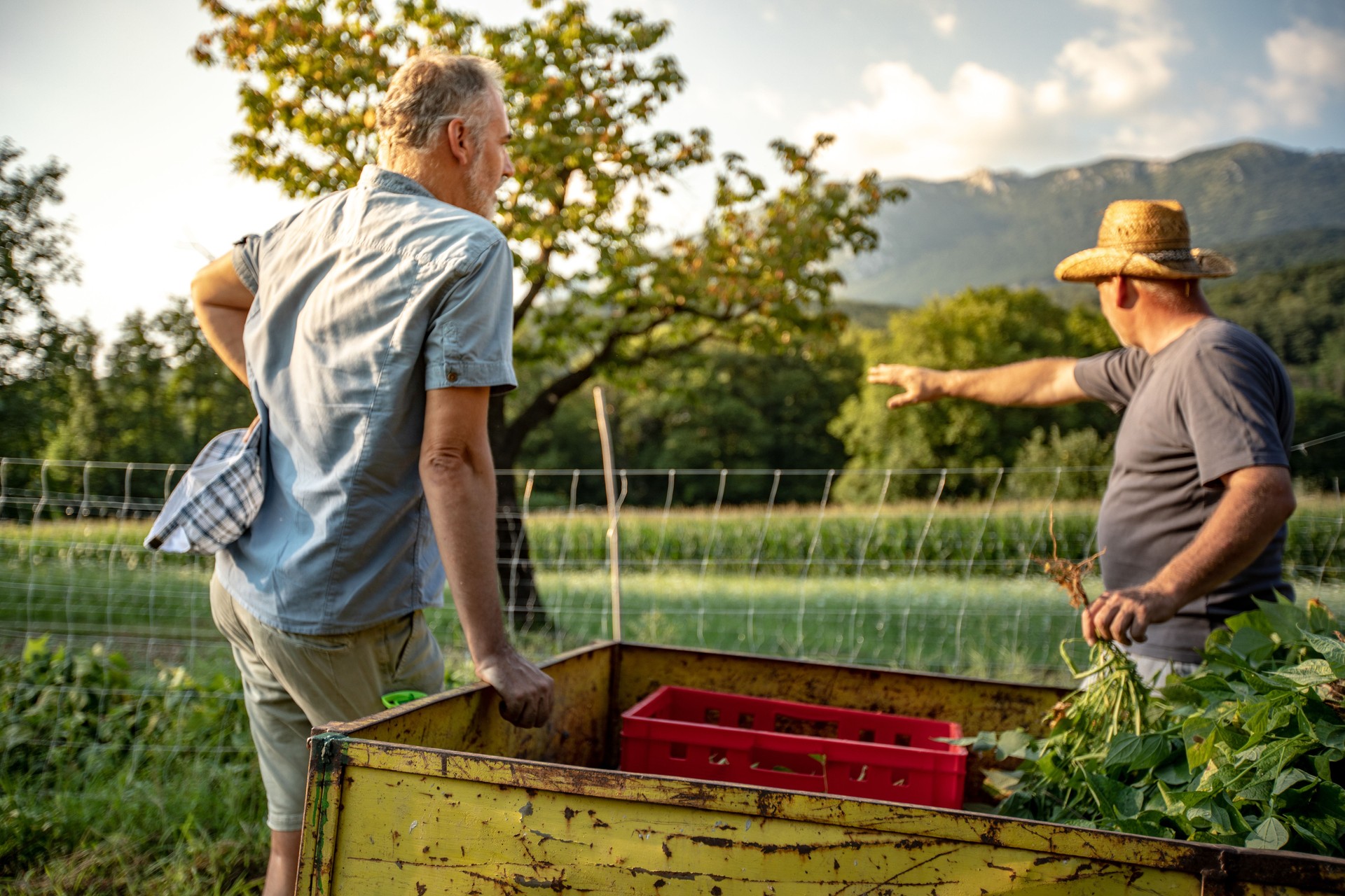 Mature Man Listening to a Senior Man Explaining About Agriculture